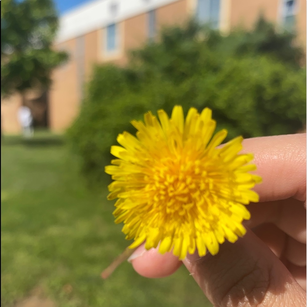 Meet your Posher, Jules